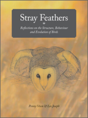 cover image of Stray Feathers